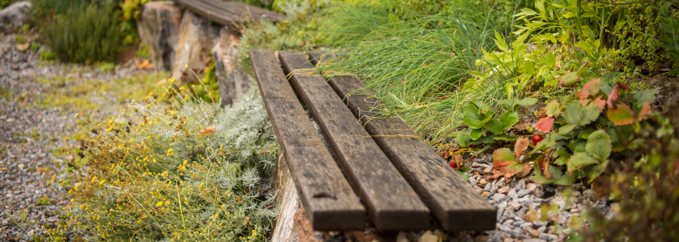 Natur_05.jpg
